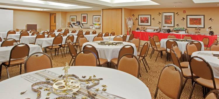 智选假日套房酒店莫德斯托，萨利达(Holiday Inn Express & Suites Modesto-Salida)图片