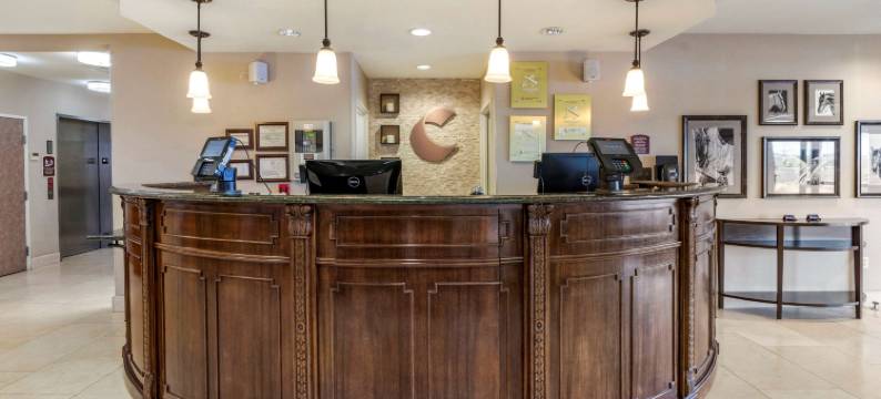 舒适套房酒店-弗恩利(Comfort Suites Fernley)图片