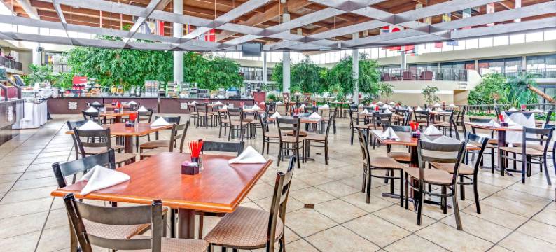 温德姆花园酒店-罗穆勒斯底特律机场(Wyndham Garden Romulus Detroit Metro Airport)图片