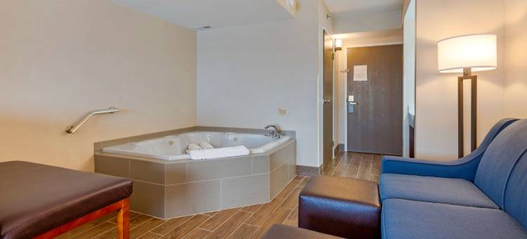 威尔克斯巴里竞技场舒适套房酒店(Comfort Inn & Suites Wilkes Barre - Arena)图片