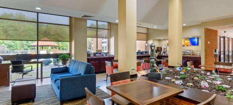 布卢菲尔特舒适酒店(Comfort Inn)图片