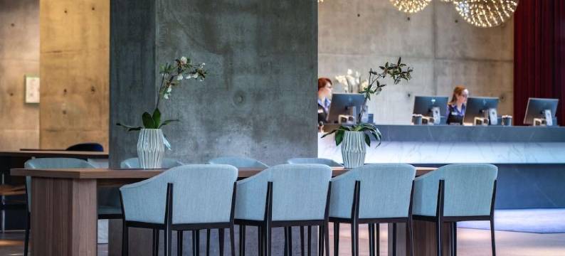 法兰克福丽笙酒店(Radisson Blu Hotel, Frankfurt am Main)图片