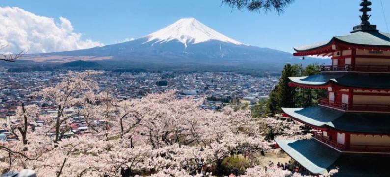富士美古旅馆(MeguFuji)图片