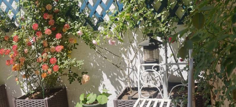 房东小彤彤公寓(车站北街分店)图片