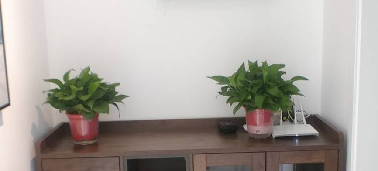 屋托帮短租公寓(燕顺路分店)图片