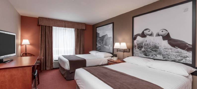 Super 8 by Wyndham St Johns图片