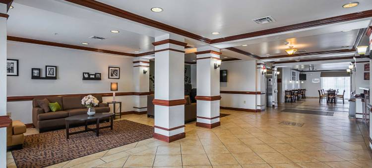 曼彻斯特舒眠酒店及套房(Sleep Inn & Suites)图片