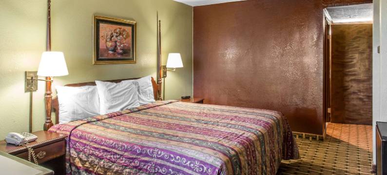 罗德威旅馆及套房斯迈尔纳 - 纳什维尔地区(Rodeway Inn & Suites)图片