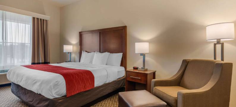 机场舒适套房酒店(Comfort Inn & Suites Airport)图片