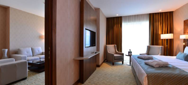 伊斯坦布尔玛姆特贝克拉丽奥酒店(Clarion Hotel Istanbul Mahmutbey)图片