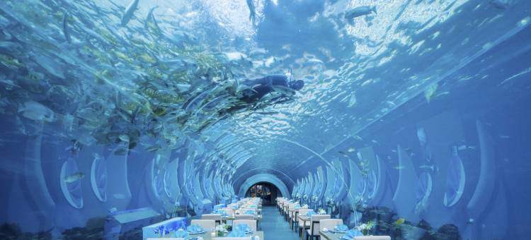 三亚海棠湾洲际度假酒店图片