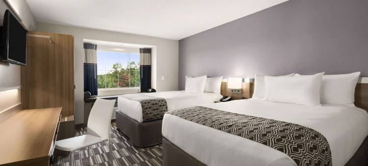 林奇堡温德姆麦客达套房酒店(Microtel Inn & Suites by Wyndham Lynchburg)图片