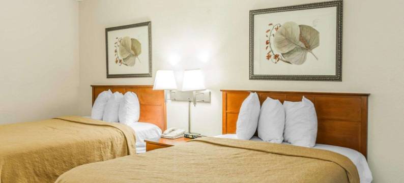 印第安纳波利斯东贝蒙特套房酒店(Baymont by Wyndham Indianapolis East)图片