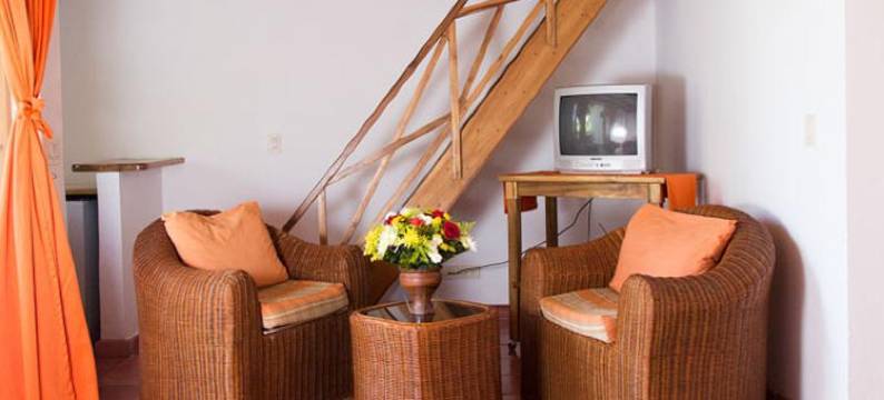 帕索奥居住公寓式酒店(Hotel Residencia del Paseo)图片