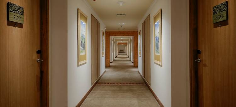 泰地欧赫希米拉度假村及水疗中心(Taj Theog Resort & Spa Shimla)图片