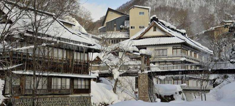 宝川温泉汪泉阁(Takaragawa Onsen Ousenkaku)图片