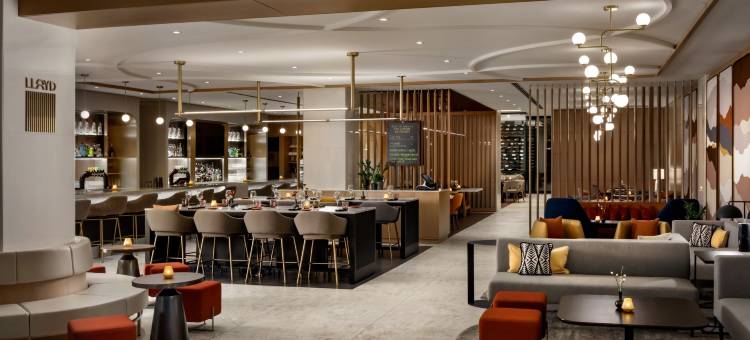 蒙特利尔山普林城堡万豪酒店(Montreal Marriott Chateau Champlain)图片
