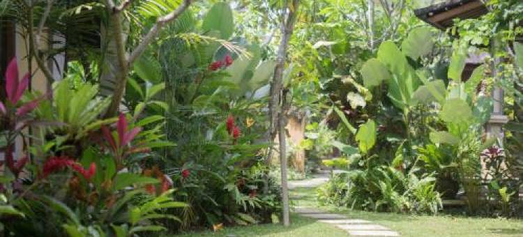乌布特拉格民宿(Telaga Homestay Ubud)图片