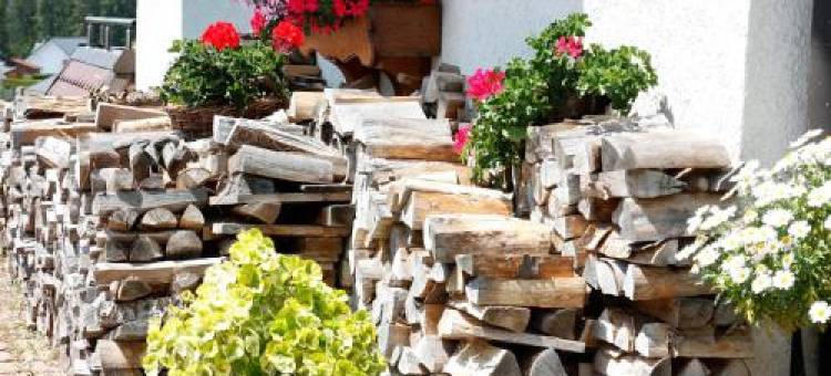 Haus Kandelblick图片