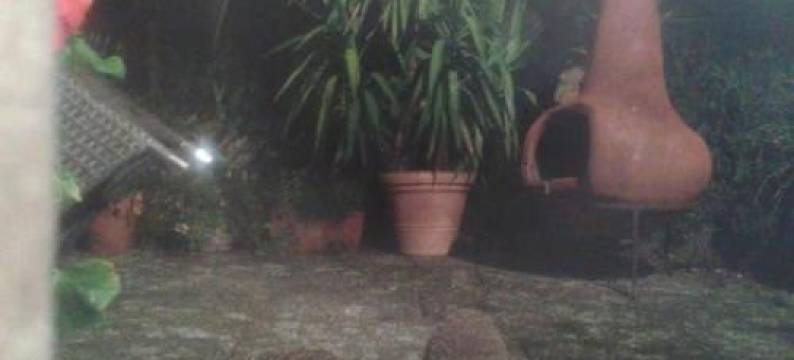 海斯多夫旅民宿(Gästezimmer Heßdorf)图片