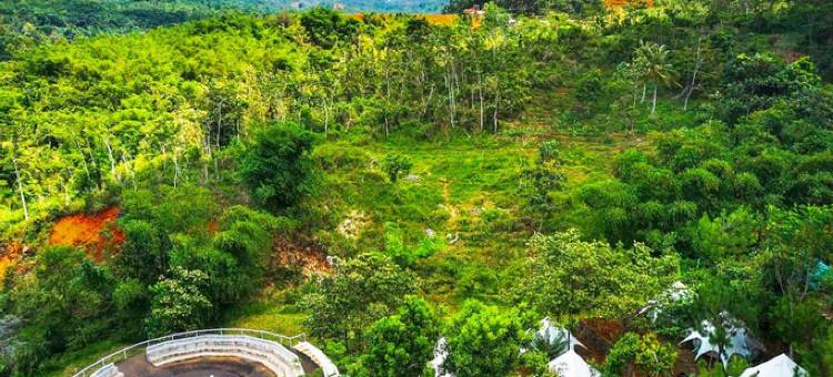 布拉沃探险露营地(Bravo Adventure Glamping)图片