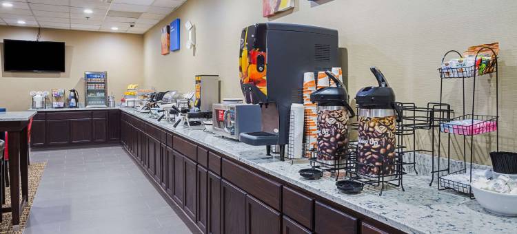 市中心舒适酒店(Comfort Inn Downtown)图片