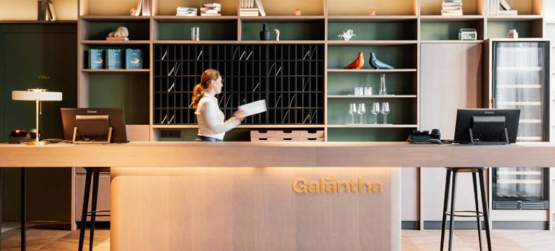 伽蓝塔酒店(Hotel Galántha)图片