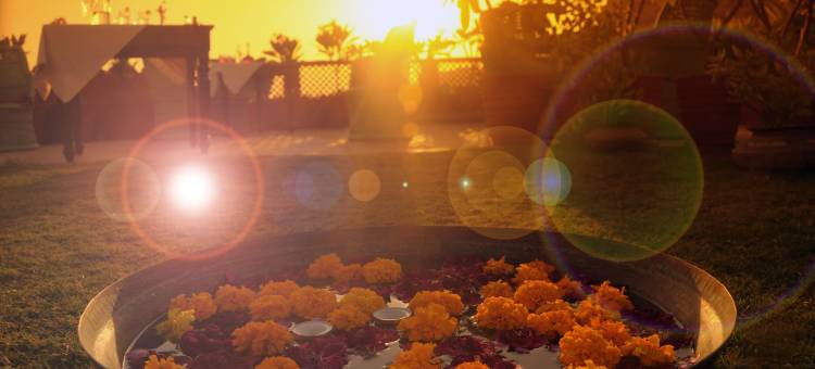 帕尔哈维里旅馆(Haveli Inn Pal)图片