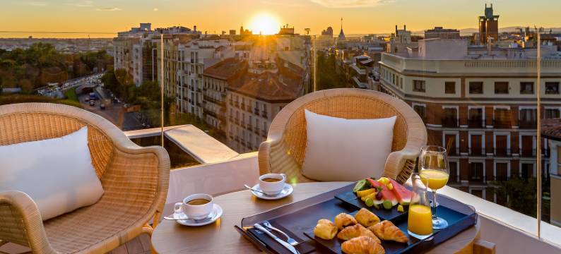 H10阿尔卡拉门旅馆(H10 Puerta de Alcalá)图片