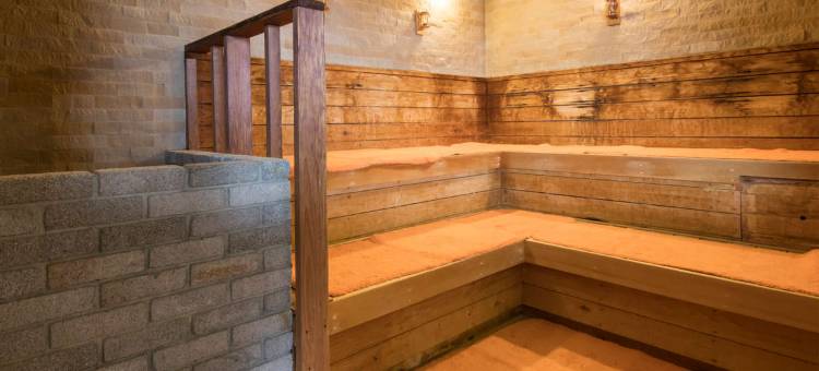 MYSTAYS成田精品酒店(HOTEL MYSTAYS Premier Narita)图片