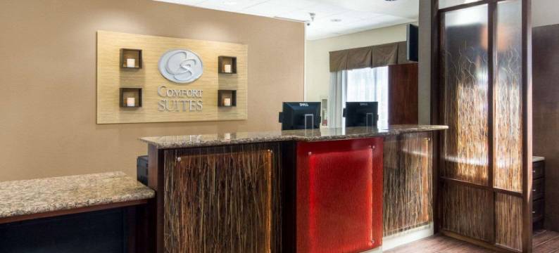 舒适套房酒店(Comfort Suites)图片