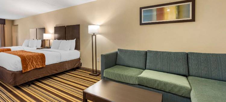 舒适套房酒店(Comfort Inn & Suites)图片