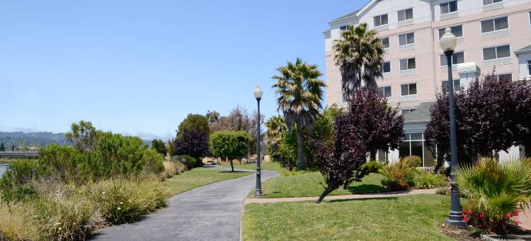 伯灵格姆旧金山机场万怡酒店(Courtyard San Francisco Airport Burlingame)图片