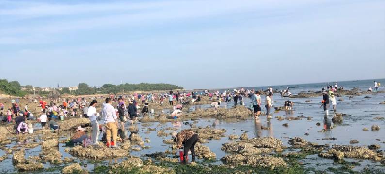 绿姥姥度假别墅(海滨东路1号分店)图片