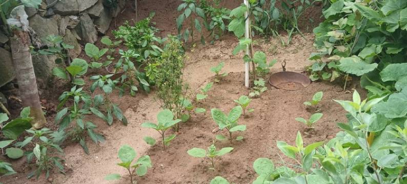 平潭北岚岭岚韵民宿(环岛东路1号分店)图片