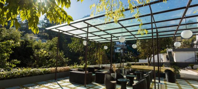 The Loft Executive Inn图片
