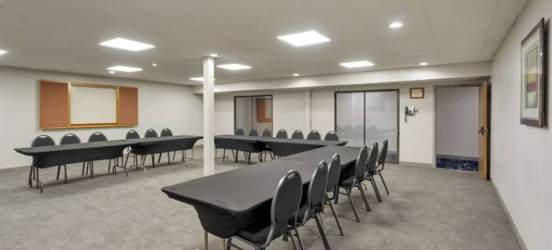 曼德林 - 弗农希尔斯舒适套房酒店(Comfort Inn & Suites Mundelein-Vernon Hills)图片