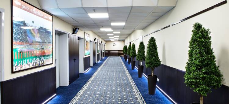 伊兹麦洛娃贝塔酒店(Izmailovo Beta Hotel)图片