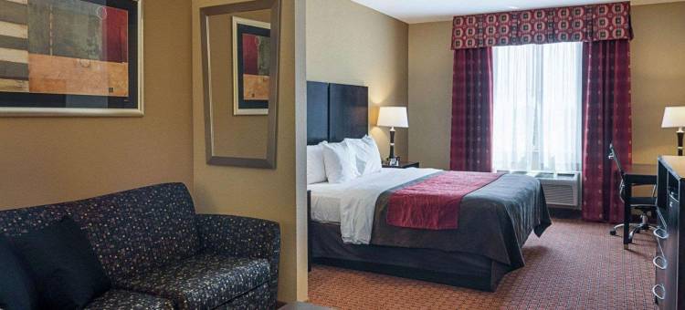 蒙那汉斯 I-20 舒适套房酒店(Comfort Inn & Suites Monahans I-20)图片