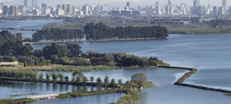 归燕公寓(西苑浦路分店)图片