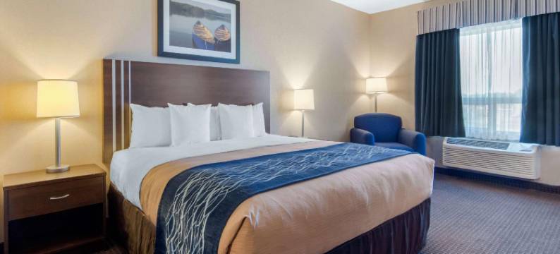 舒适套房酒店(Comfort Inn & Suites)图片