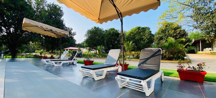 绿色丛林度假村(The Green Jungle Resort)图片