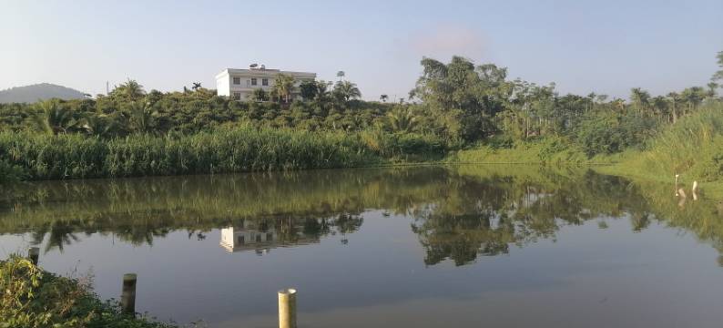 依山傍水的别墅享受(抱棉路分店)图片