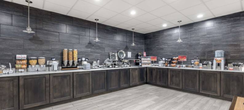 欧文斯伯勒贝斯特韦斯特优质酒店(Best Western Plus Owensboro)图片