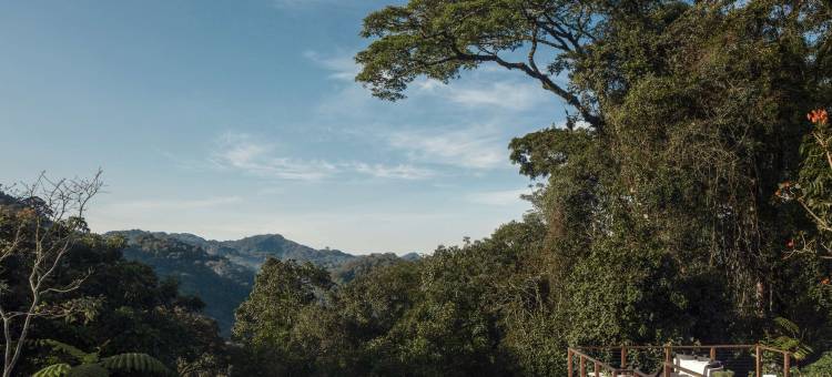 纽恩威之家(One&Only Nyungwe House)图片