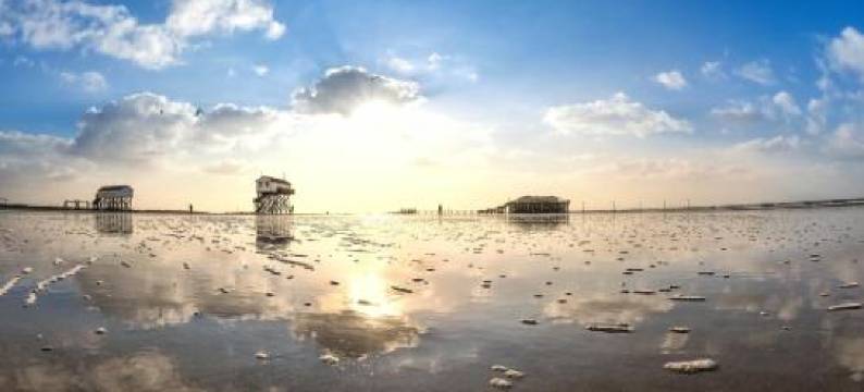 Moderne Küstenbutze #1 im Beach-Style图片