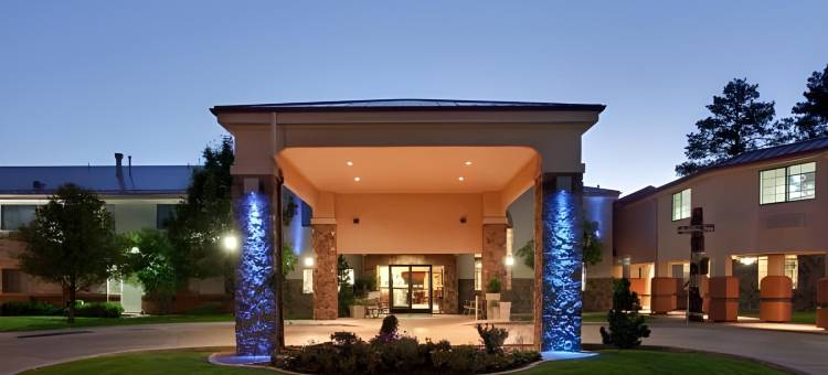 Holiday Inn Express 显示低(Holiday Inn Express Show Low)图片