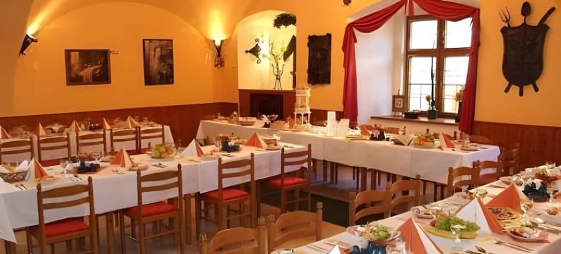 乔德斯凯霍赫拉杜膳食公寓酒店(Penzion U Chodskeho Hradu)图片