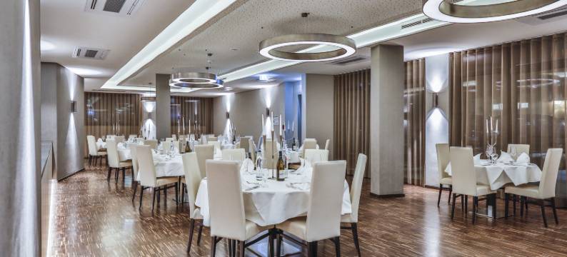 菲林根-施文宁根假日酒店(Holiday Inn VILLINGEN - SCHWENNINGEN by IHG)图片