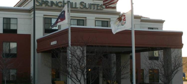 芝加哥波林布鲁克万豪SpringHill酒店(SpringHill Suites Chicago Bolingbrook)图片